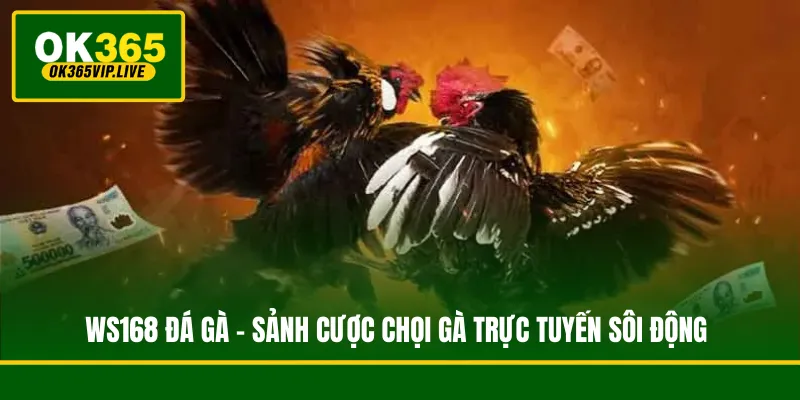 WS168 Đá Gà - Sảnh Cược Chọi Gà Trực Tuyến Sôi Động 1 WS168 Đá Gà - Sảnh Cược Chọi Gà Trực Tuyến Sôi Động